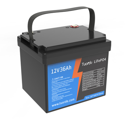 AGV 납산 교체 배터리 MSDS 12V 36Ah 리?? 심 사이클 타입